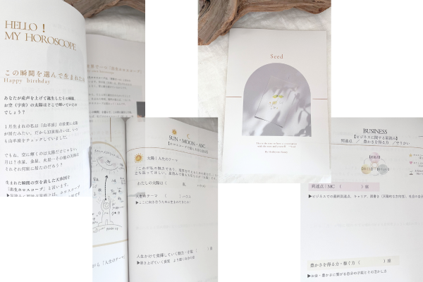自己理解プログラム種のワークブック中身紹介